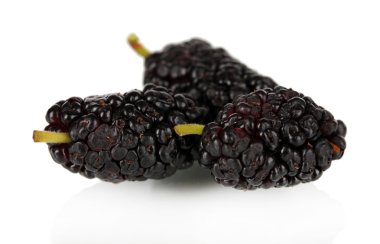 Olgun dut üzerinde beyaz izole