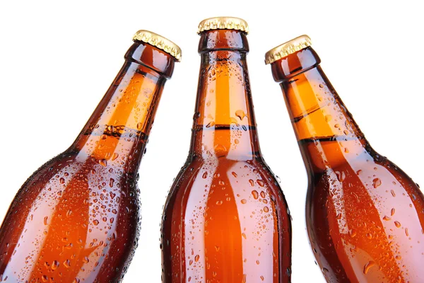 Botellas de cerveza aisladas en blanco — Foto de Stock