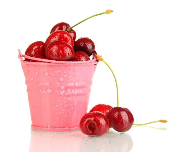 Bagas de cereja vermelhas maduras em balde isoladas em branco — Fotografia de Stock