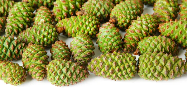 Green pine cones isolated on white — Stock Photo, Image