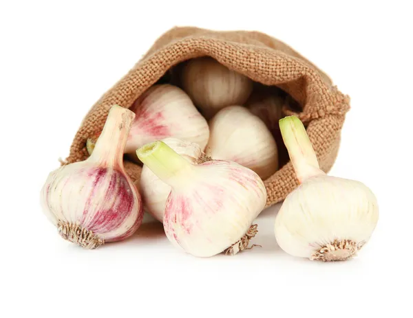 Fresh garlic in sackcloth bag, isolated on white — Stok fotoğraf
