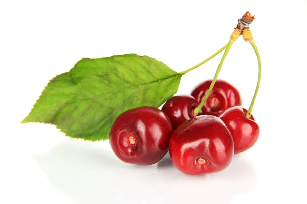 Cherry bessen geïsoleerd op wit — Stockfoto