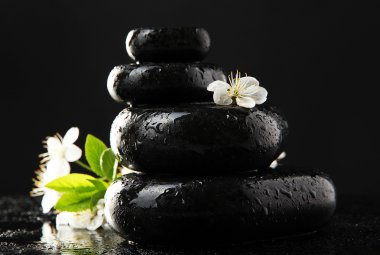 Spa taşlar ve izole siyah üzerine beyaz çiçekler