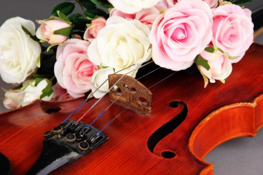 Classical violin with flower close up
