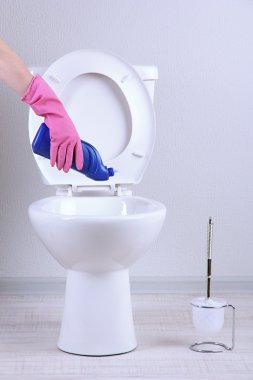 kadın el ile bir banyo klozet Temizleme sprey şişe