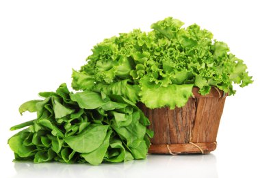 yararlı otlar üzerinde beyaz izole