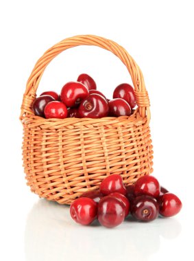 hasır sepet beyaz izole kiraz meyveleri