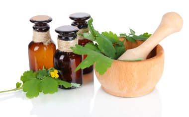 beyaz izole ilaç şişeleri ile çiçeklenme kırlangıçotu