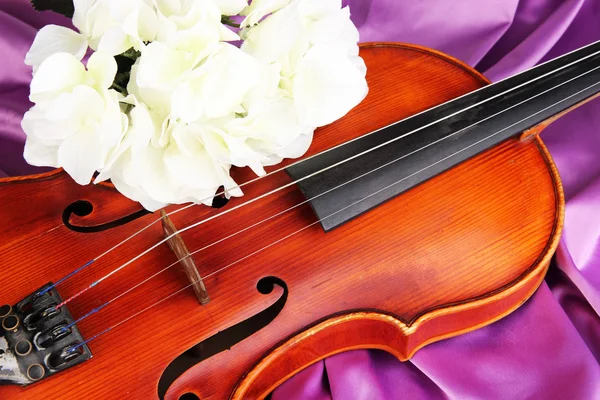 Classical violin on fabric background — Stock Photo, Image