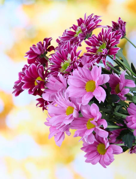 Strauß schöner Chrysanthemen auf hellem Hintergrund — Stockfoto