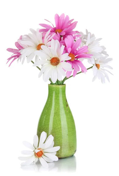 Beautiful daisies in colorful vase isolated on white — Stock Photo, Image