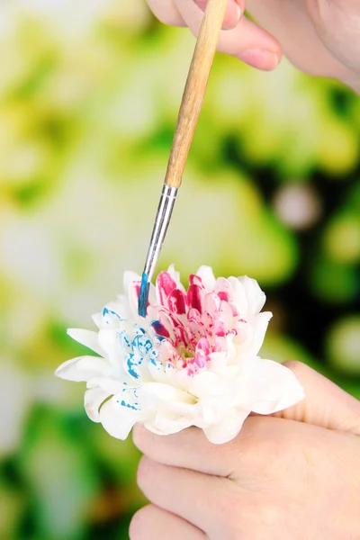 Beyaz holding eller çiçek ve parlak arka plan üzerinde renkli boya — Stok fotoğraf