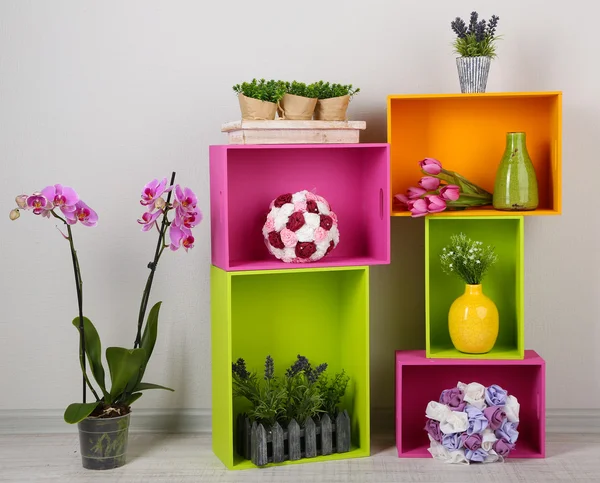 Hermosos estantes de colores con diferentes objetos relacionados con el hogar —  Fotos de Stock