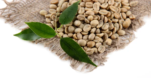 Gröna kaffebönor och blad isolerad på vit — Stockfoto