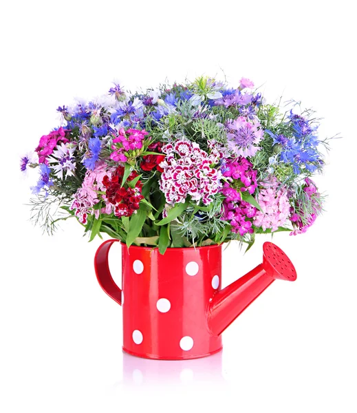 Beautiful bouquet in watering can isolated on white — Stock Photo, Image