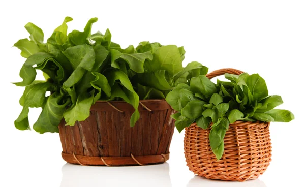 Fresh herbs in baskets isolated on white — Stock Photo, Image