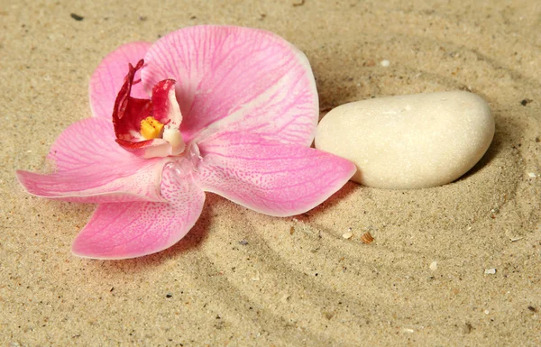 Zen-tuin met raked zand en ronde steen close-up — Stockfoto