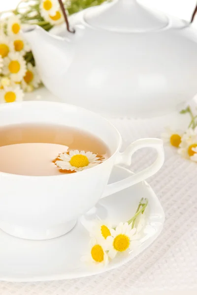 Cup of herbal tea with camomiles close up — Stock Photo, Image