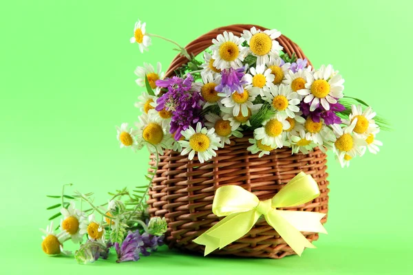 Beautiful wild flowers in basket, on green background — Stock Photo, Image
