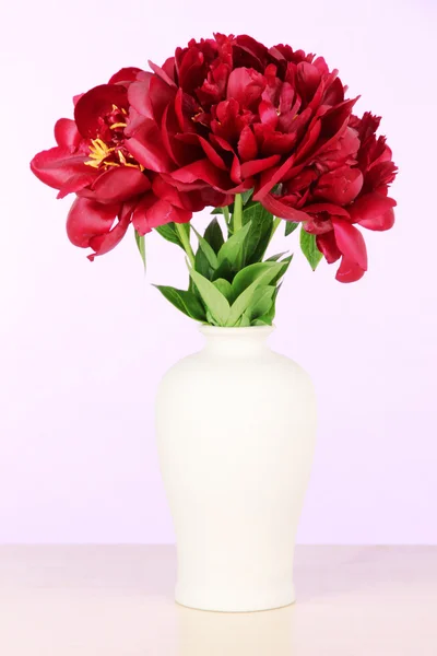 Beautiful peonies in vase on table on white background — Stock Photo, Image
