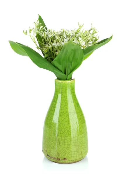 Schöne Bergnarzissen in farbiger Vase, isoliert auf weiß — Stockfoto