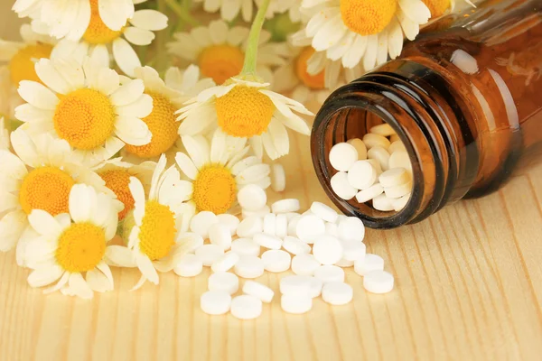 Medicin kamomillblommor på träbord — Stockfoto