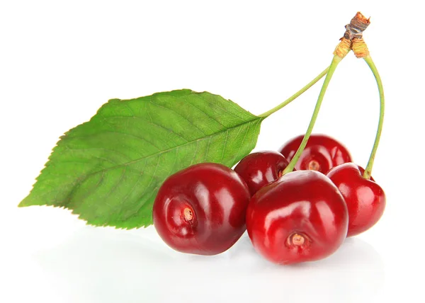 Ceri berry diisolasi di atas putih — Stok Foto