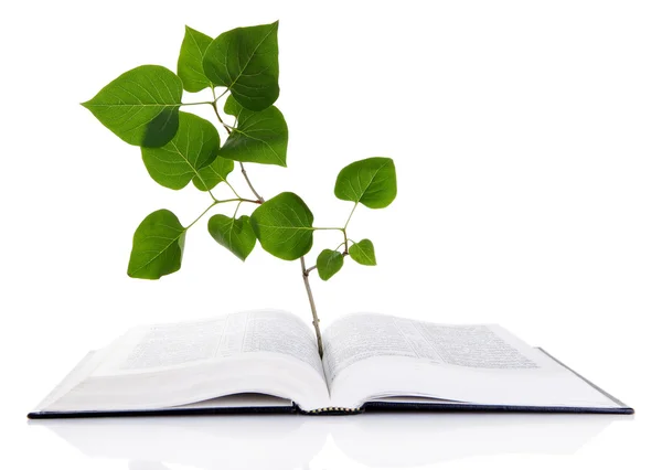 Book with plant isolated on white — Stock Photo, Image