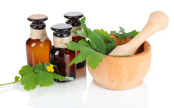 Blooming Celandine with medicine bottles isolated on white — Stock Photo, Image