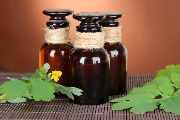 Celidonia floreciente con frascos de medicamentos en la mesa sobre fondo marrón — Foto de Stock