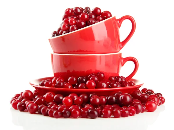 成熟红色小红莓的杯子，隔绝对惠特 — 图库照片