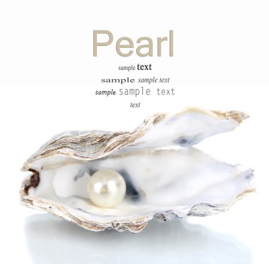 Open oyster with pearl isolated on white clipart