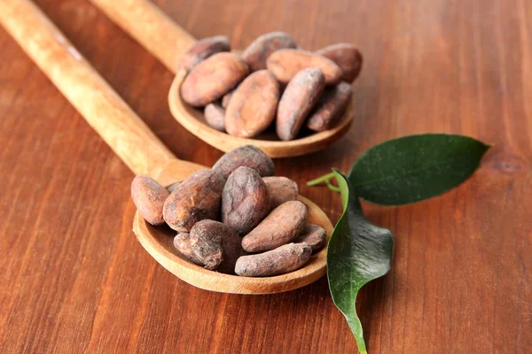 Fagioli di cacao con foglie in cucchiai su sfondo di legno — Foto Stock