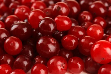 Olgun kırmızı kızılcık, yakın u