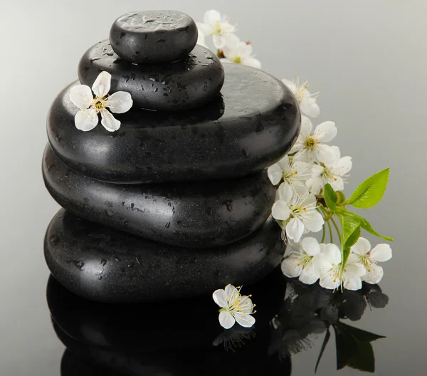 Pedras de spa e flores brancas no fundo escuro — Fotografia de Stock