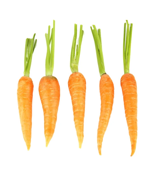 Купа моркви, ізольована на білому — стокове фото
