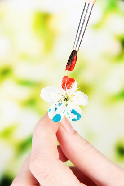 Manos femeninas sosteniendo flor blanca y pintándola con colores, sobre fondo brillante — Foto de Stock