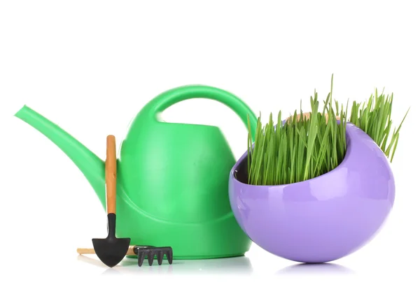 装飾的な鍋に白で隔離される緑の芝生 — ストック写真