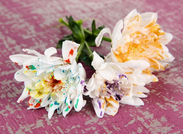 Flores blancas coloreadas diferentes pinturas, sobre fondo de madera de color —  Fotos de Stock