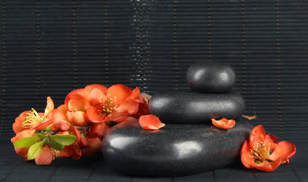 Spa stones and flowers on bamboo background — Stock Photo, Image