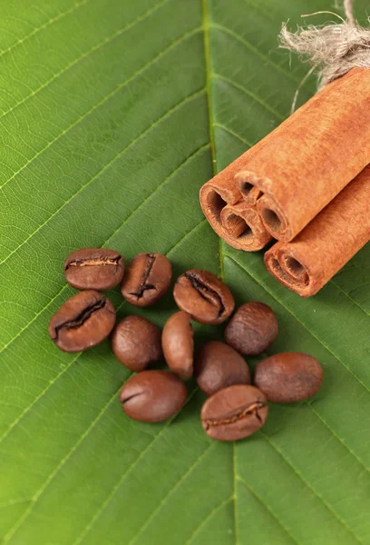 Coffee grains and cinnamon on green leaf close-up — Stock Photo, Image