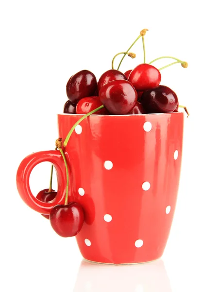 Reife rote Kirschbeeren in Tasse isoliert auf weiß — Stockfoto