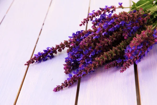 Salvia flowers on purple wooden background — Stock Photo, Image