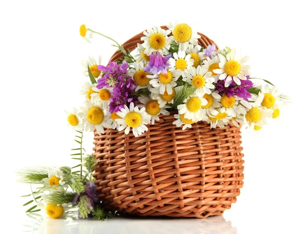Beautiful wild flowers in basket, isolated on white — Stock Photo, Image