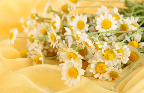 Many chamomile on yellow cloth background — Stock Photo, Image