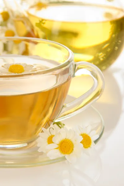 Cup of herbal tea with camomiles close up — Stock Photo, Image