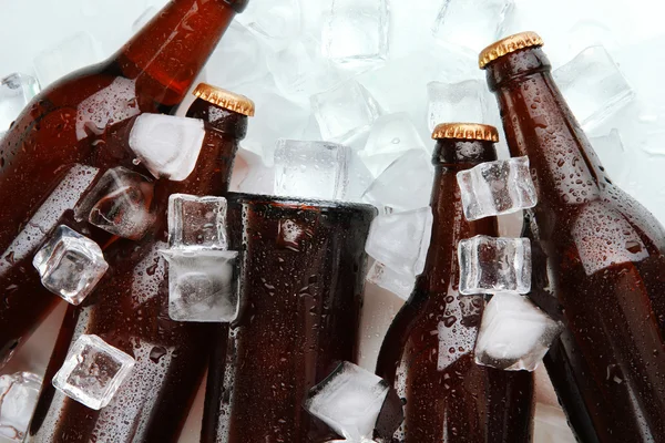 Garrafas de cerveja em cubos de gelo de perto — Fotografia de Stock