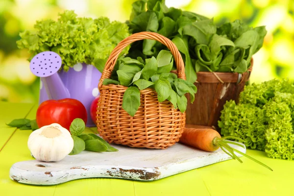 Fresh herb in basket on wooden table on natural background — Stock Photo, Image