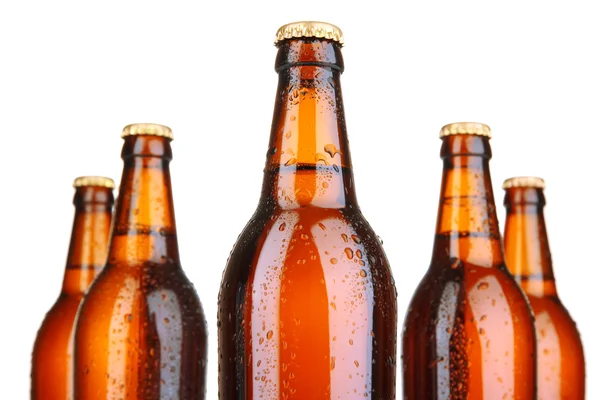 Botellas de cerveza aisladas en blanco —  Fotos de Stock