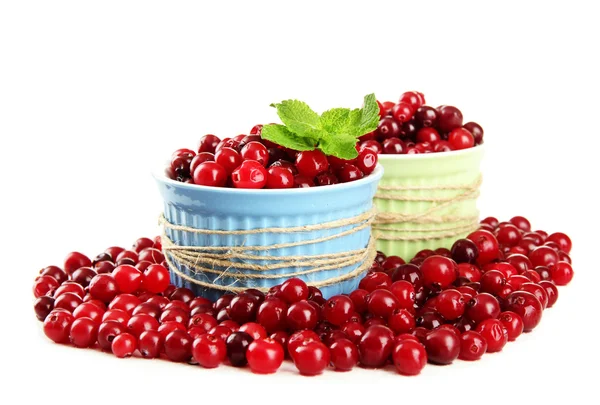 Ripe red cranberries in bowls, isolated on whit — Stock Photo, Image